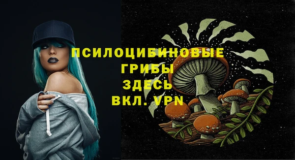 прущие крисы Краснослободск